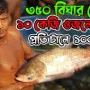 ৩৫০ বিঘার ঘেরে ১০কেজি ওজনের মাছ | Fish Cultivation Project | ঘেরে মাছ চাষ | প্রতি জাল টানে ১০০ মন
